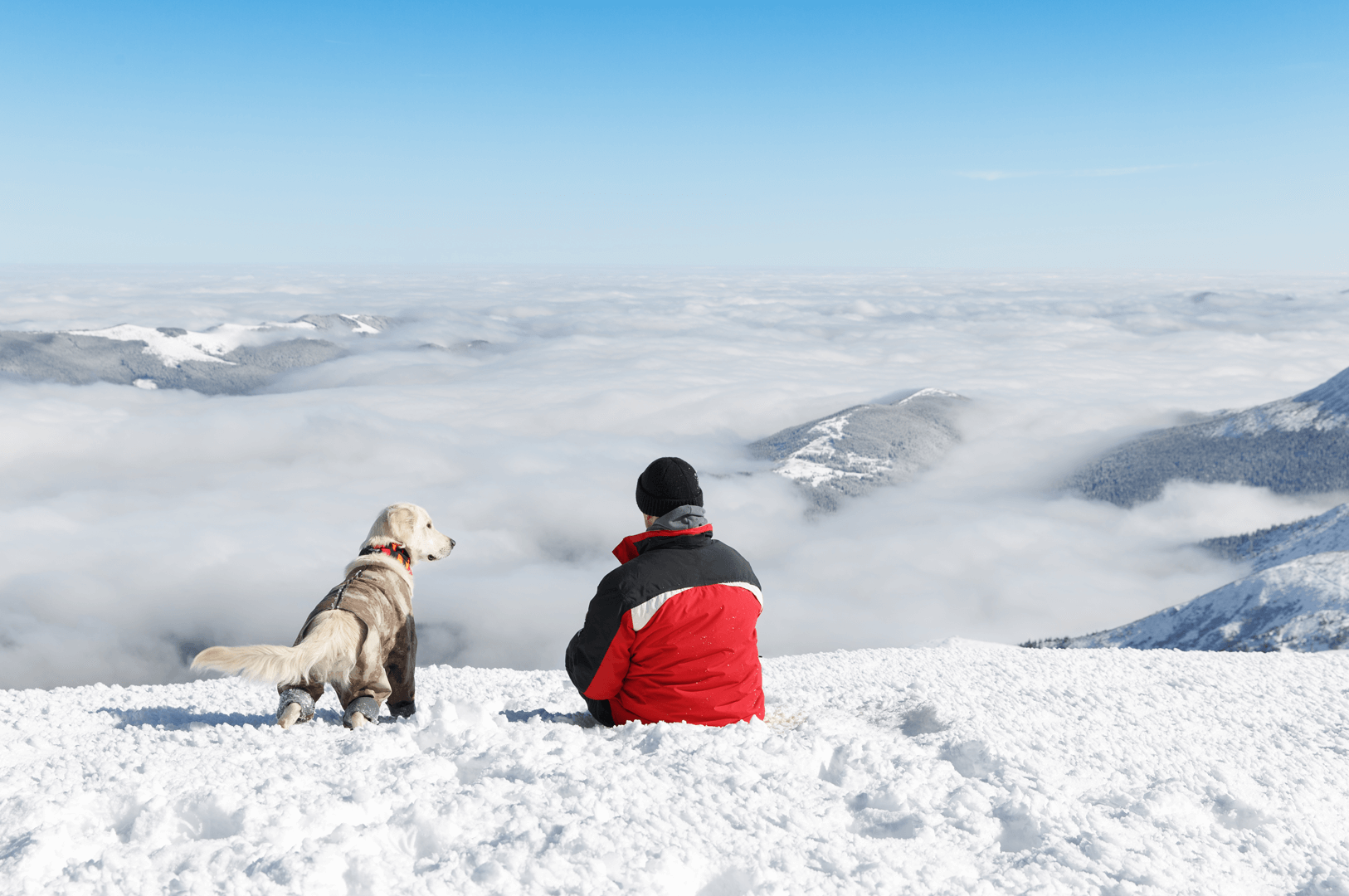 Eco Sports Group Landscape
